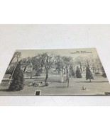 Postcard Litchfield CT Real Photo Picture RPPC Early 1900s Green Houses ... - £11.55 GBP