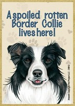 A spoiled rotten Border Collie lives here Wood Fridge Locker Dog Magnet 2.5X3.5  - £4.01 GBP