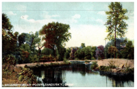 Lagoons Cedar Point Sandusky Ohio Postcard Posted 1909 - £6.62 GBP