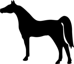 Arabian Horse Equine Decal Black Silhouette Profile Sticker on a Clear B... - $4.00