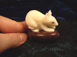 (TN-MOU-088-A) House Mouse Little Mice Tagua Palm Nut Figurine Carving Vegetable - £26.33 GBP