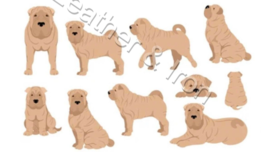New Shar Pei Dog Design Vinyl Checkbook Cover Dogs - £6.95 GBP
