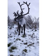 Handmade Reindeer Plush Toy - Customisable Stuffed Animal Doll - Posable... - $4,682.00