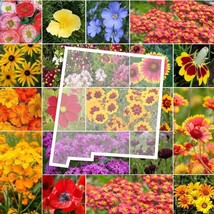 Grow In US 1000 Seeds Wildflower New Mexico State Flower Mix Perennials &amp; Annual - £8.13 GBP