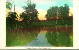The Lake Phospho Lithia Ridgeway VA Gazeebos Hand Tint 1908 DB Postcard T18 - £26.95 GBP