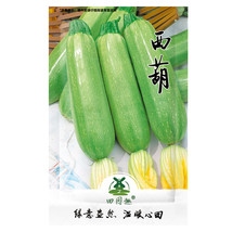 US Seller 25Pcs Summer Zucchini Squash Seeds  Fresh Vegetable Seeds New Fresh Se - £8.76 GBP