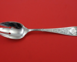 Raphael by Gorham Sterling Silver Pierced Serving Spoon 8 1/2&quot; - £146.14 GBP