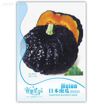 Japanese Black Pumpkin Vegetables 10 Seeds USA SELLER Garden - $6.22