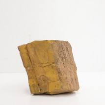 Natural Petrified Wood Chunk 12oz Paper Weight - £9.59 GBP