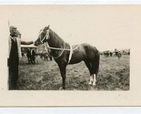 1920&#39;s Horse Real Photo Postcard - $17.82