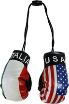 USA and Italy Mini Boxing Gloves - $5.94