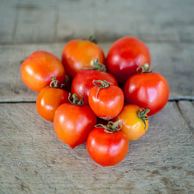 50 Seeds Geranium Kiss Tomato Juicy Tomatoe Garden Food - £4.54 GBP