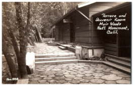 RPPC Postcard Terrance &amp; Souvenir Room Muir Woods Monument California Zan-888 - £7.75 GBP