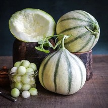 Melon Hara Madhu, 15 Seeds R - £13.06 GBP