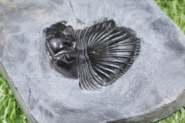 Item image 15