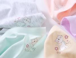 The Cat&#39;s Meow Novelty Hipster Panty - $4.10