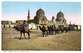 Tombs of the Califs Cairo Egypt Postcard - £5.30 GBP