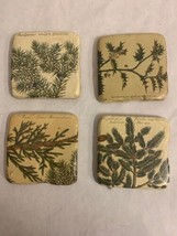 Set of 4, Botanical Coasters, Stone Ceramic Square Tiles, 4x4 - £15.77 GBP