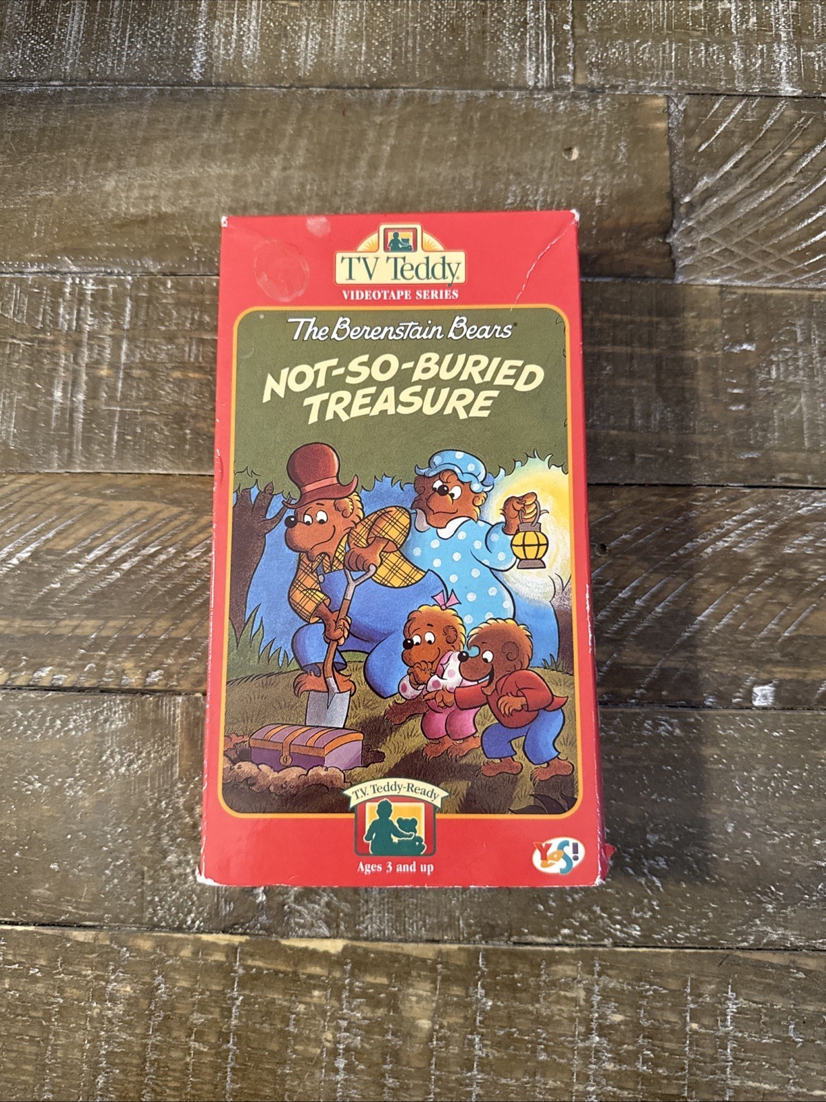 The Berenstain Bears Not So Buried Treasure VHS - $29.58