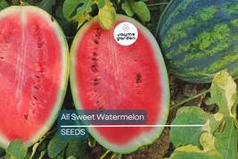 All Sweet Watermelon Seeds | Heirloom, Non-GMO | 25-30 lbs Fruit | 90 Da... - $4.99+