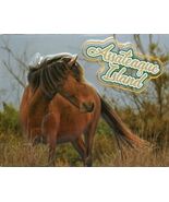 Assateaque Island With Horse Fridge Magnet - $7.99