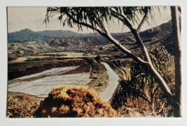 Honalei Valley Rice Paddies Kauai Island Hawaii HI Wesco Postcard c1940s C47 - £4.75 GBP