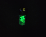 Check Source for Geiger Counter 1 Gram Vial of Autunite Fragments in Sea... - $33.00