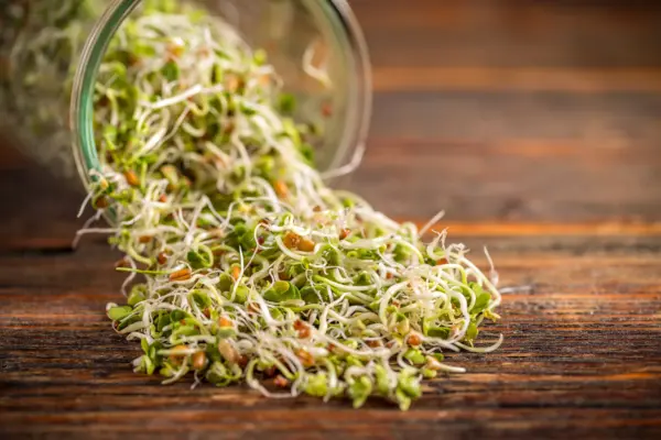Top Seller Organic Sprouting Mix Peas Mung &amp; Adzuki Bean Lentils Vegetab... - £11.48 GBP