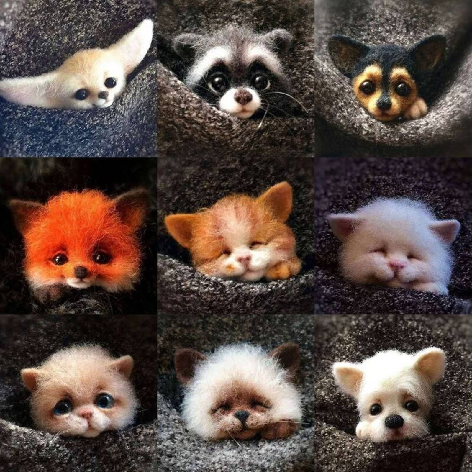 Needle Felting Kits,  Felting Animal, DIY Kit, Felting Supplies, gift For kids,