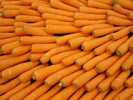 1500 pcs Scarlet Nantes Carrot Daucus Carota Vegetable Seeds - £7.07 GBP