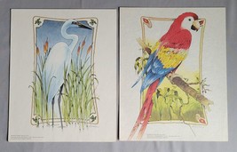 Lot 2 Thomas Sasser Bird Prints Scarlet Macaw Snowy Egret Colored 8x10 Art - £12.52 GBP