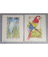 Lot 2 Thomas Sasser Bird Prints Scarlet Macaw Snowy Egret Colored 8x10 Art - $15.85