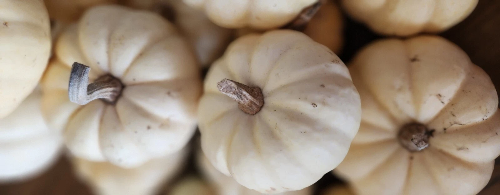 Casperita Pumpkin Seeds - $10.62