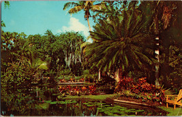 McKee Jungle Gardens Vero Beach Florida, Vintage Postcard Postmarked 1967 - £4.42 GBP