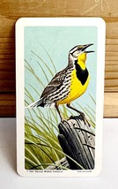 Vintage Songbird Trading Card Western Meadowlark 1966 S9N33 Brooke Bond ... - $181.07 MXN