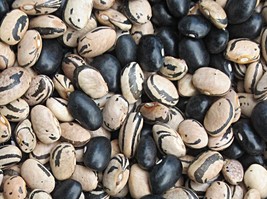 Peregion bean - little speckled bean is a delight in baked dishes! - $5.25