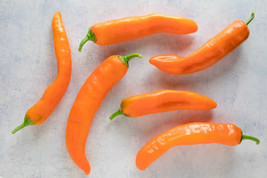 Best 25 Seeds Corno Di Toro Chili Peppers Easy to Grow Vegetable Garden Edible - £3.84 GBP