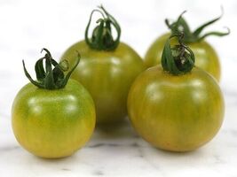 15 Fat Frog Micro Dwarf Tomato Seeds  - $3.99
