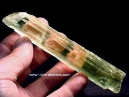 Yellow Kunzite, 5.8&quot; Kunzite Wand, Raw Facet Grade Kunzite, Collector Ku... - £854.86 GBP