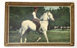 Through His Paces Man Riding White Horse Antique Early 1900s Postcard - £3.91 GBP