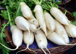 500 Pc Seeds Lunar White Carrot Vegetable Plant, Carrot Seeds for Planting | RK - £14.83 GBP