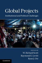 2011 HC Global Projects: Institutional and Political Challenges b yScott... - $74.97