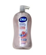 Dial Pamper &amp; Indulge Body Wash Silk &amp; Magnolia Scent Vitamin E 32oz. - $38.36 CAD
