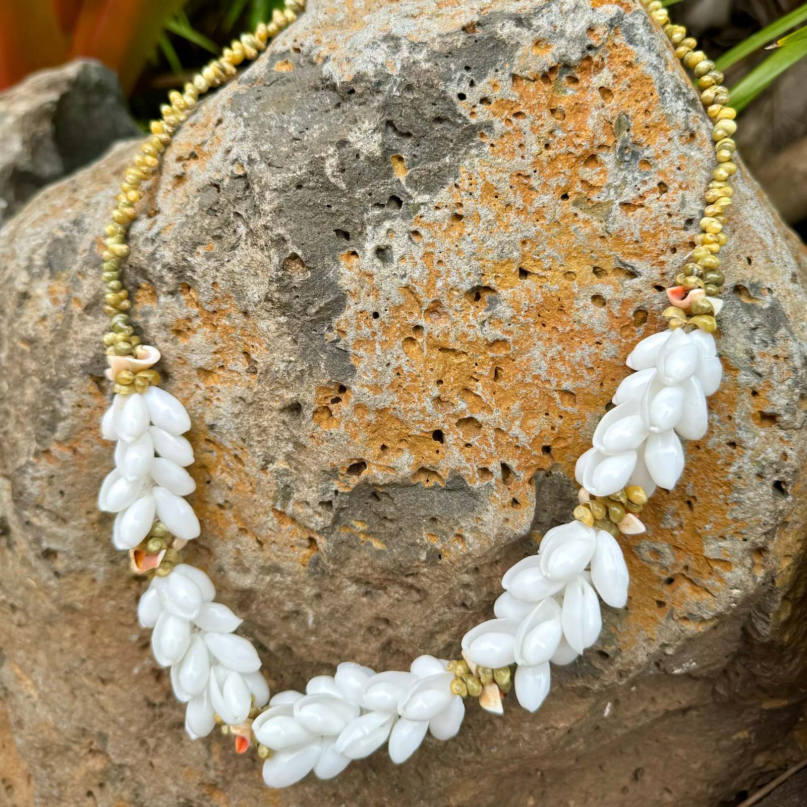 da Hawaiian Store Braided Bubble and Mongo Shell Wedding Lei (Choose) - $24.99
