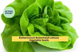 Buttercrunch Butterhead Lettuce Seeds – 1g for Planting, Heirloom Variet... - $5.85+