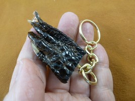 (G120-46) 2&quot; long Gator FOOT Keychain PAW ALLIGATOR TAXIDERMY med claw w... - $11.29