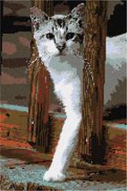 Pepita Needlepoint Canvas: Cat On Deck, 9&quot; x 14&quot; - £68.95 GBP+