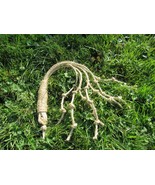 Three Dark Days 3-Knots Discipline Whip: Instrument of Penance and Mortification - $30.00