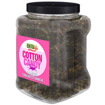 Cotton Candy Flavored Cricket Snack - Pound Size - £31.41 GBP