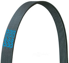 Serpentine Belt Dayco 5050486 - Accessory Belt for 99-04 Nissan Frontier... - $9.36